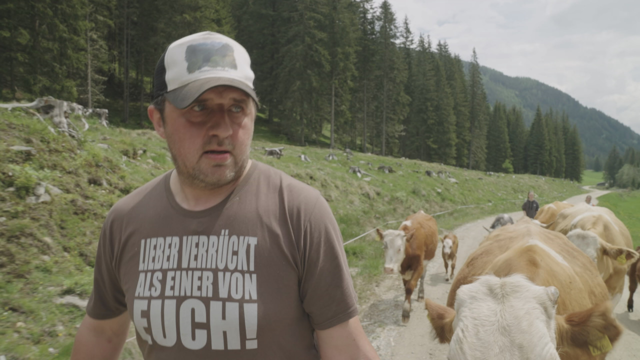 Der Bauer und der Bobo Vorschaubild